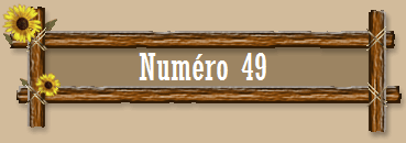 Numro 49