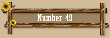 Number 49